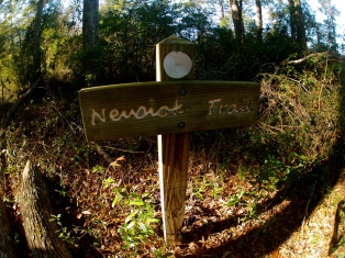 Neusiok Trail 